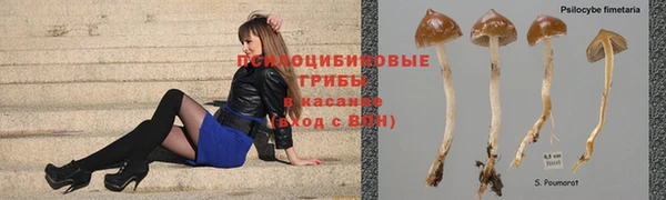 ALPHA PVP Армянск