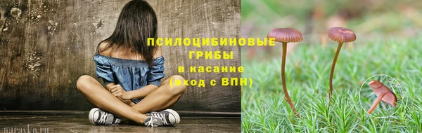 синтетический гашиш Алексин